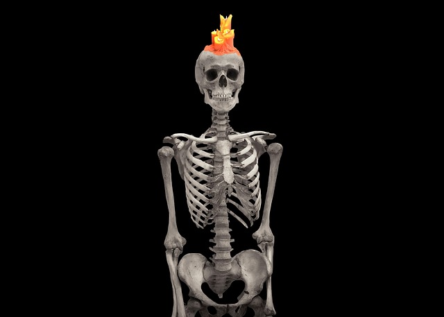 Bag kulisserne: En dag i en bedemands liv