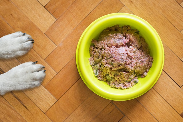 Potevenlig kost: Sådan vælger du det rigtige allergivenlige hundefoder